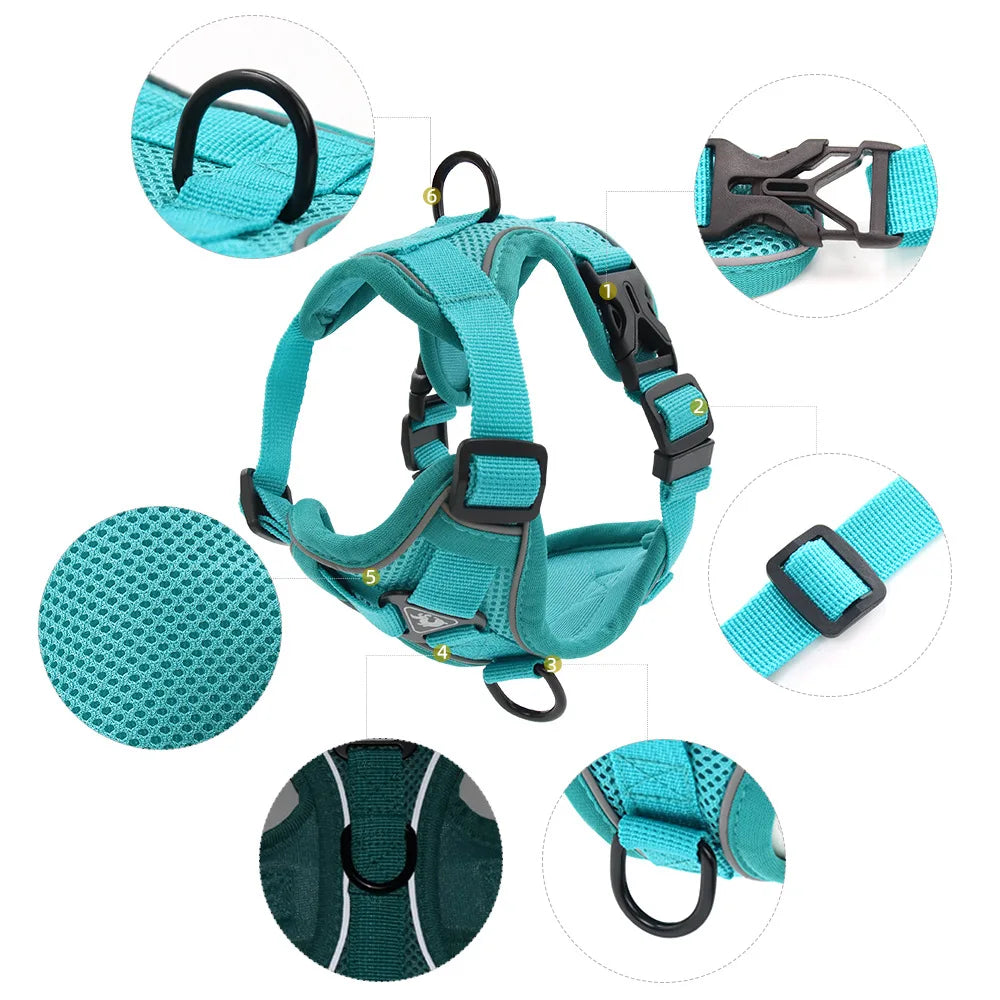 Harness and Leash Set Pet