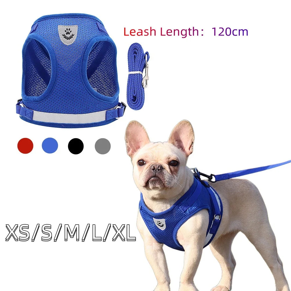 Quality Dog Harness And Leash