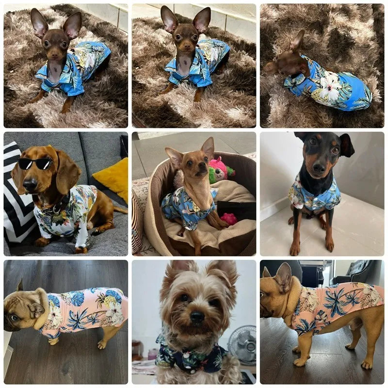 Pet Beach Pineapple Shirts Hawaiian Style