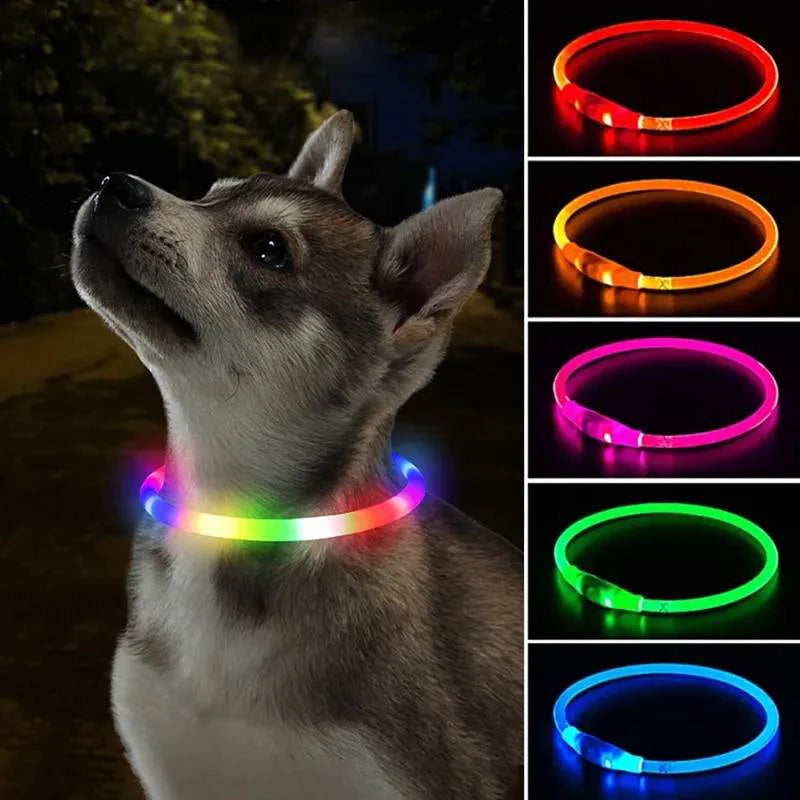 4 Modes Dog Luminou Charge Collar Led Usb