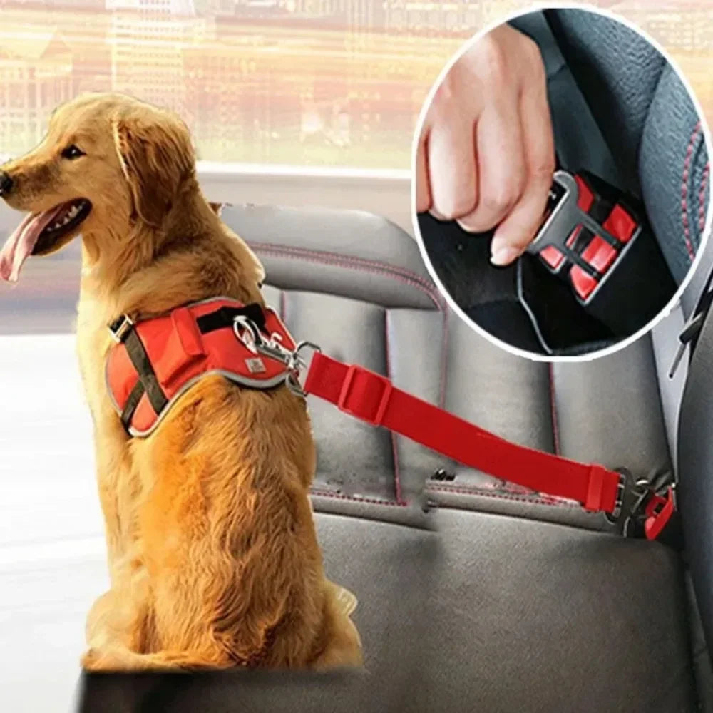 Dog Harness Lead Clip Safety Lever Traction