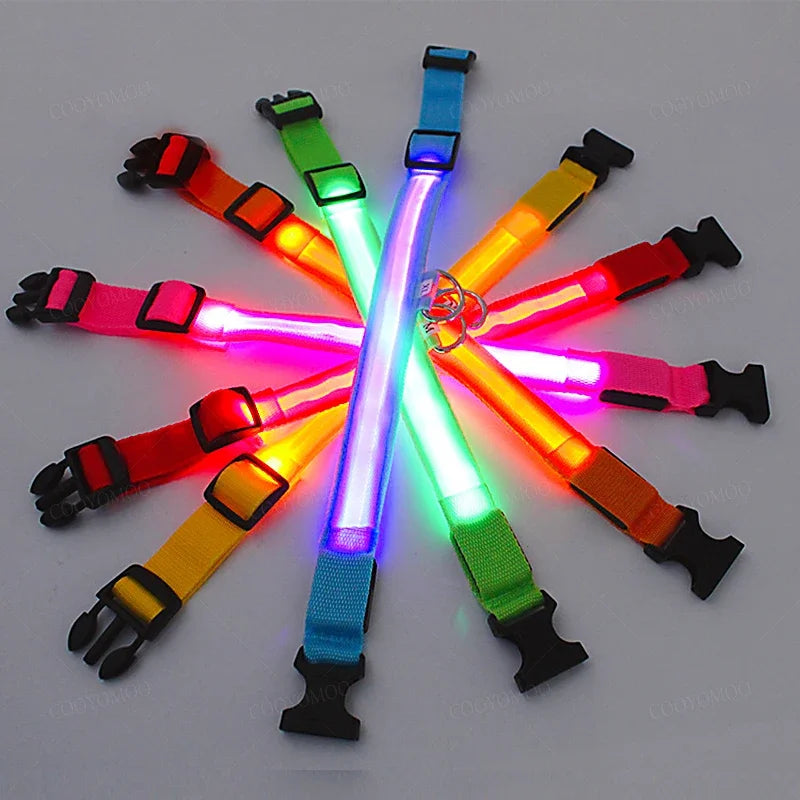 3 Modes Dog Luminous Charge Collar Led Usb