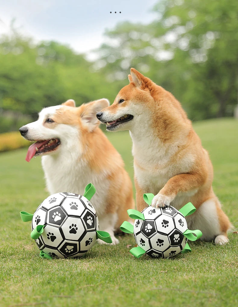 Kimpets Dog Interactive Football Toys