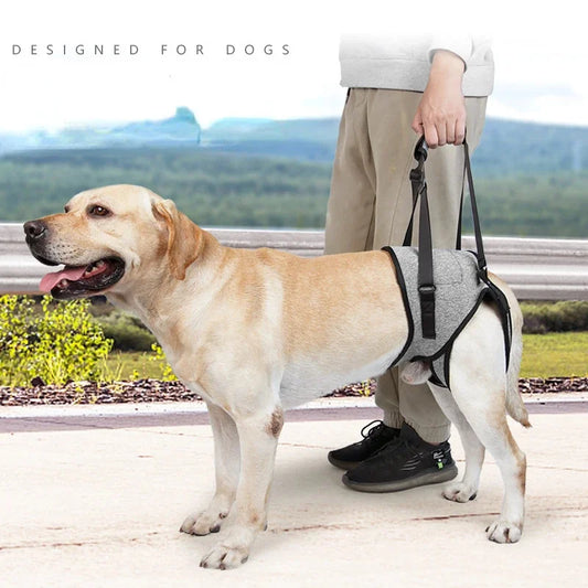 Adjustable Dog Lift Harness for Large Dogs