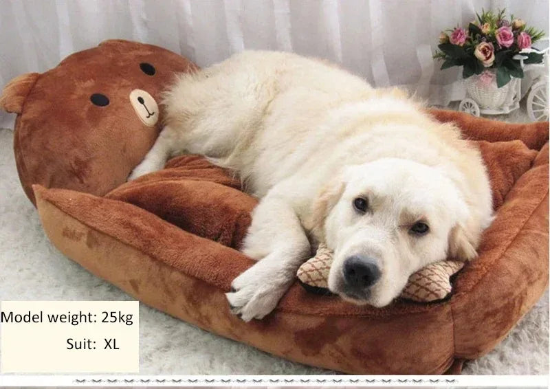 Dog Beds for Small Dogs