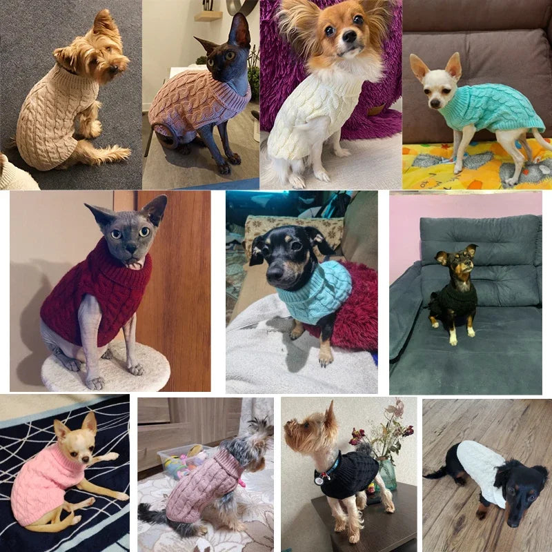 Dog Sweaters for Dogs