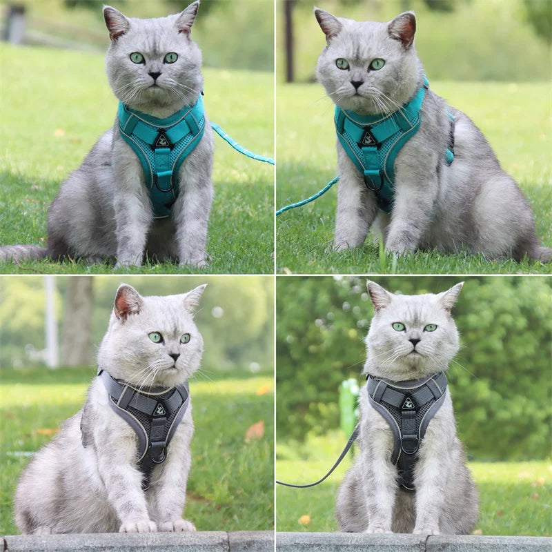 Fashion Reflective Cat Harness and Leash Sets Breathable