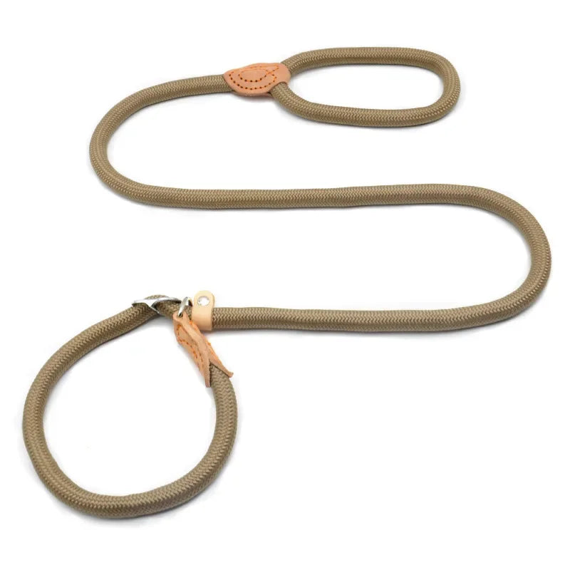 Dog Walking Leash Slip Rope