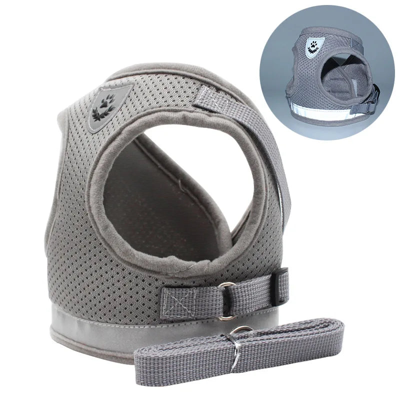 Quality Dog Harness And Leash