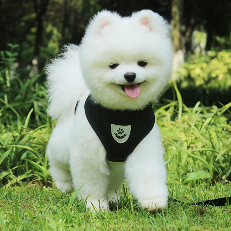 Reflective Breathable Mesh Dog Harness