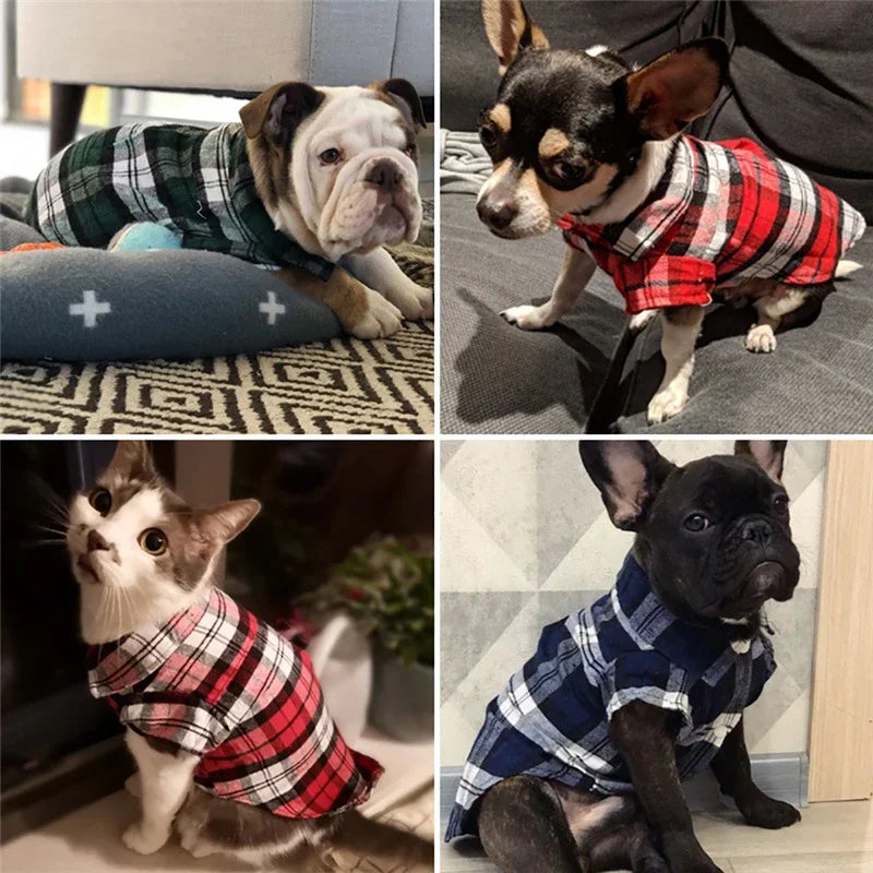 Dog Shirts British Style