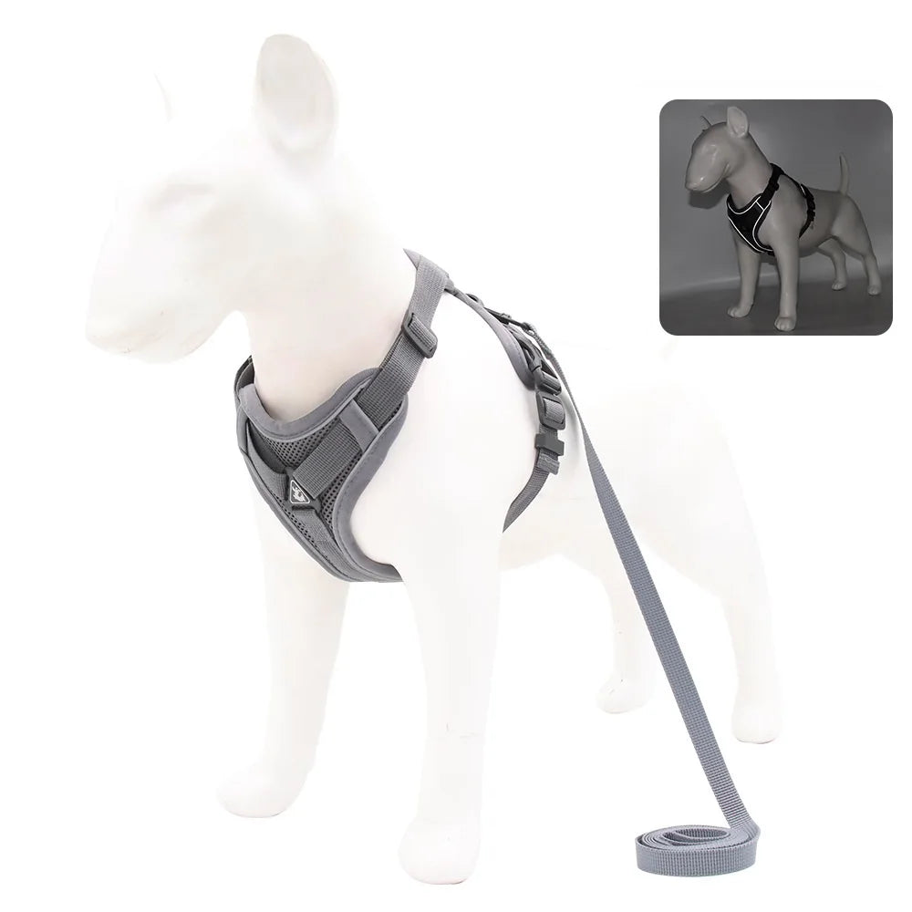 Harness and Leash Set Pet