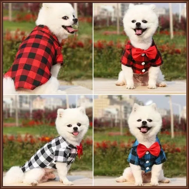 Wedding Dress for Pet, Shirt Suit, Birthday Party