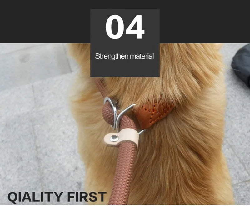 Dog Walking Leash Slip Rope