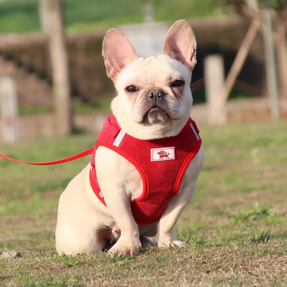 Dog Traction Rope Corduroy Breathable