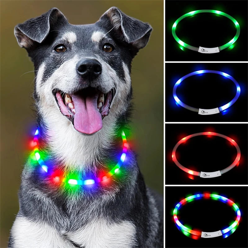 4 Modes Dog Luminou Charge Collar Led Usb