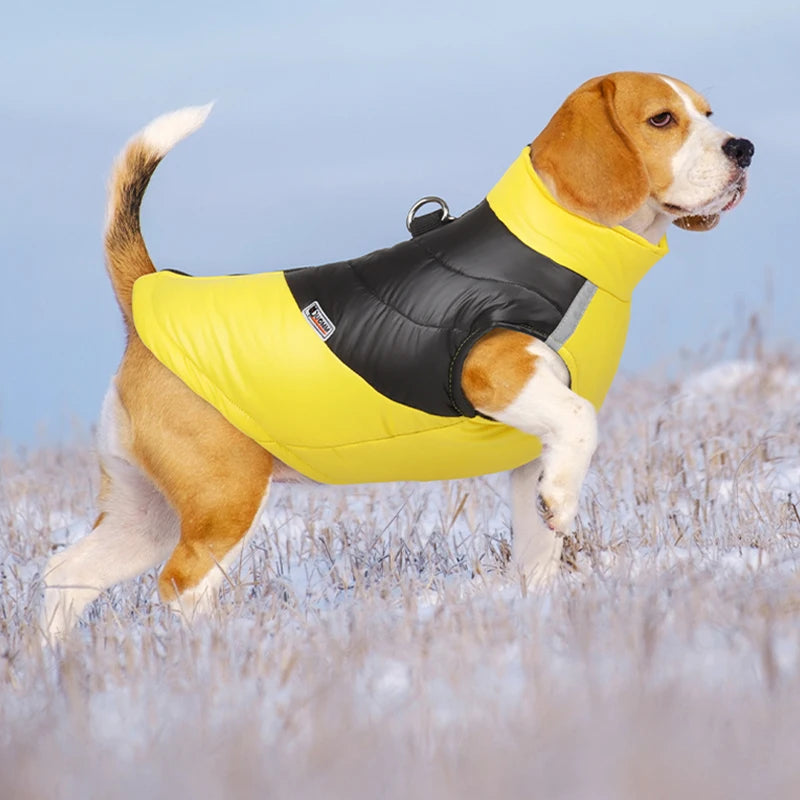 Waterproof Dog Jacket Winter