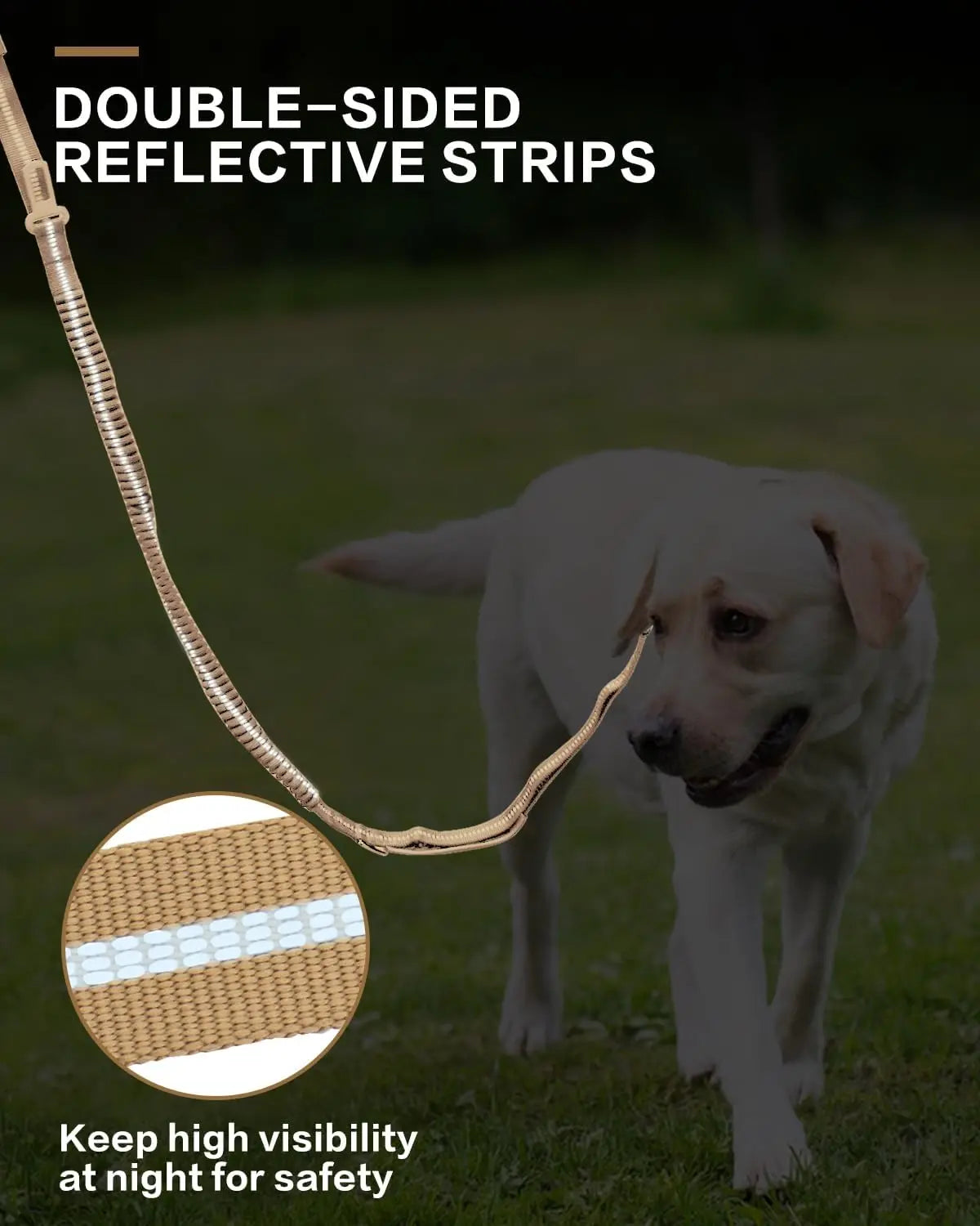 Reflective Shock Absorbing Pet Leashes with Car Seatbelt