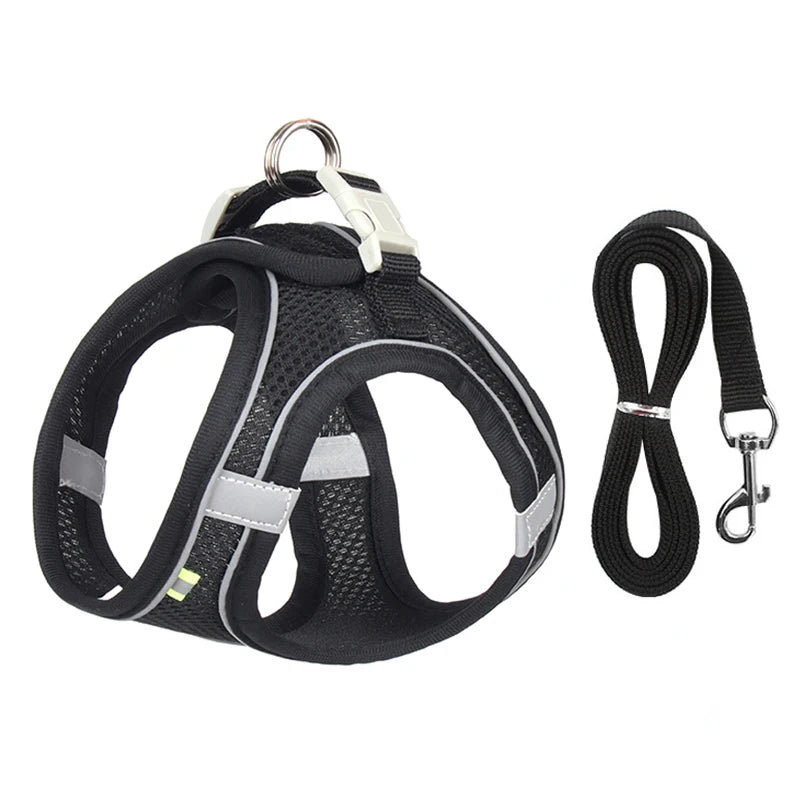 Dog Harness Leash Set for Small Dogs