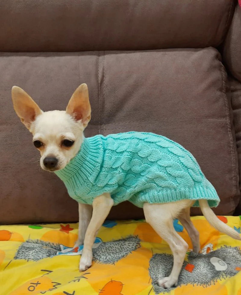 Dog Sweaters for Dogs