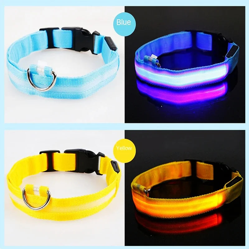 3 Modes Dog Luminous Charge Collar Led Usb