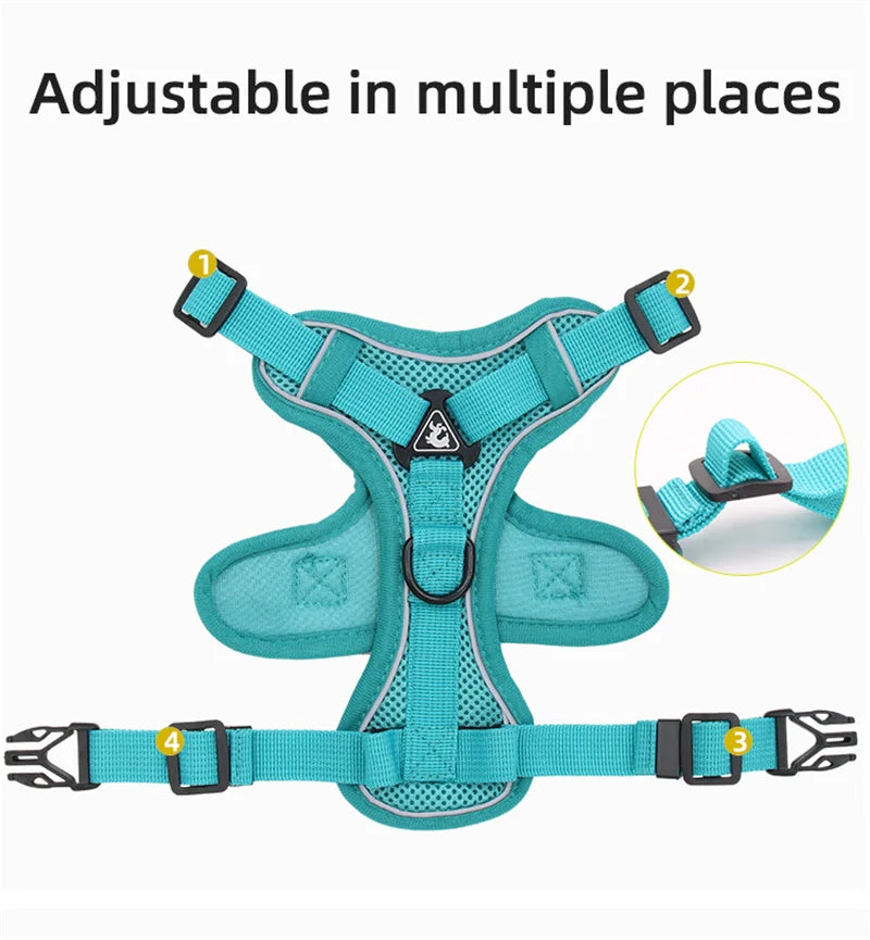 Fashion Reflective Cat Harness and Leash Sets Breathable