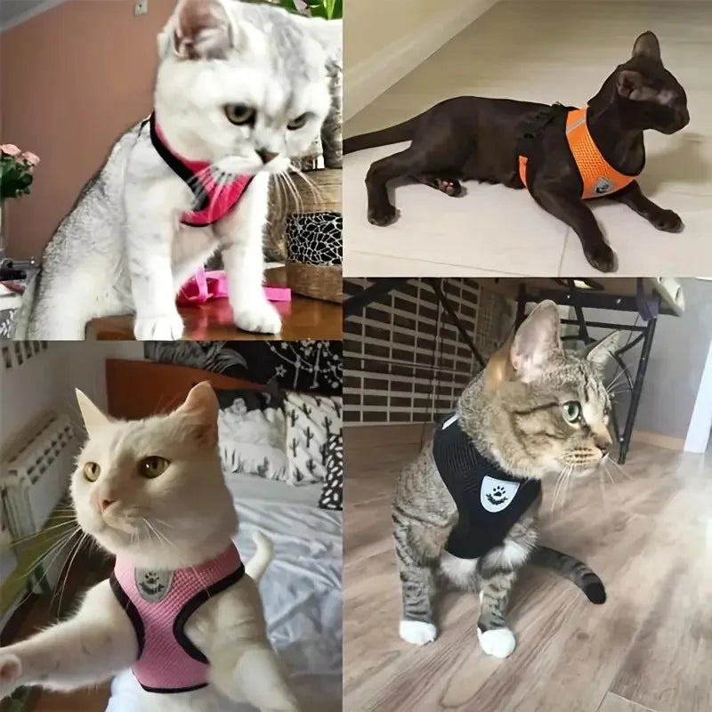 Breathable Mesh Cat Small Dog Harness