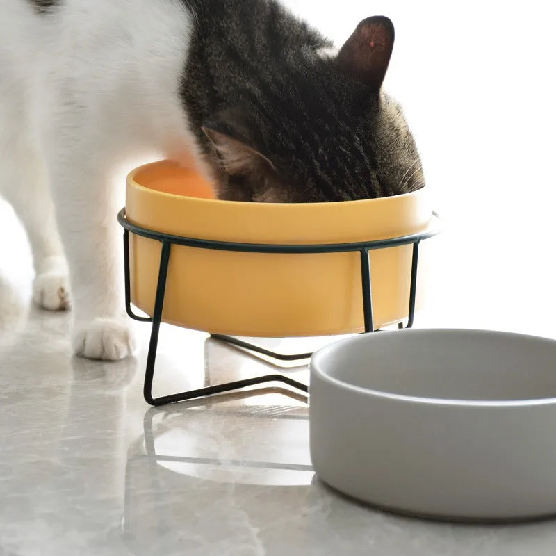 Food Water Bowls with Stand Ceramic Pet Feeding