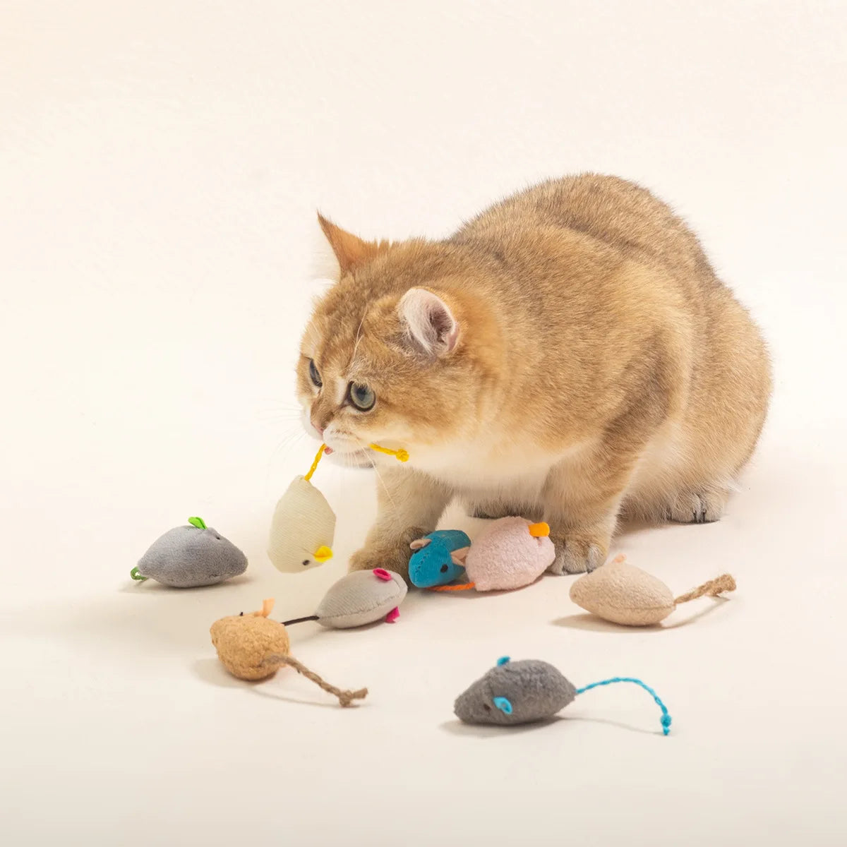 3-200 Pcs Rattle Cat Mouse Toys