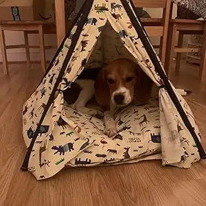 Tent Dog Cat Bed Pet House with Removable Washable Cushion