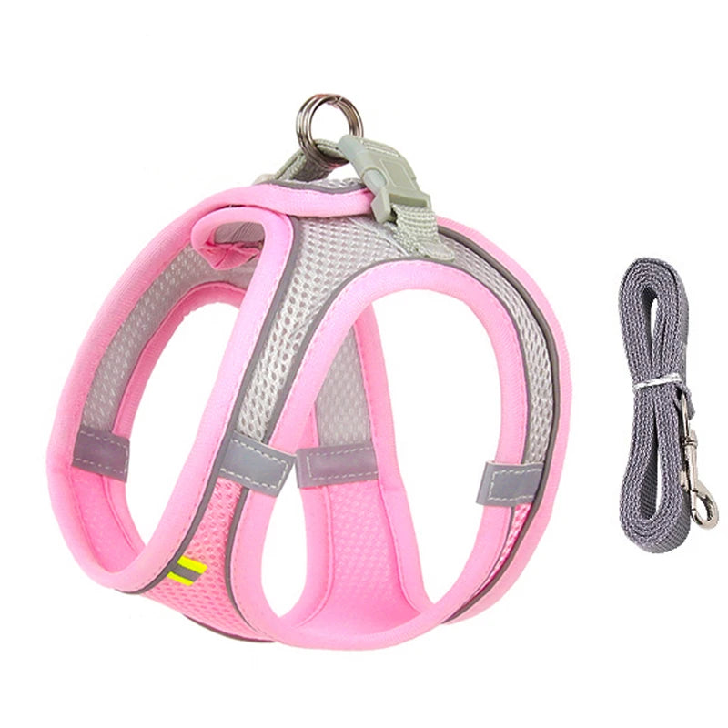 Dog Harness Leash Set for Small Dogs