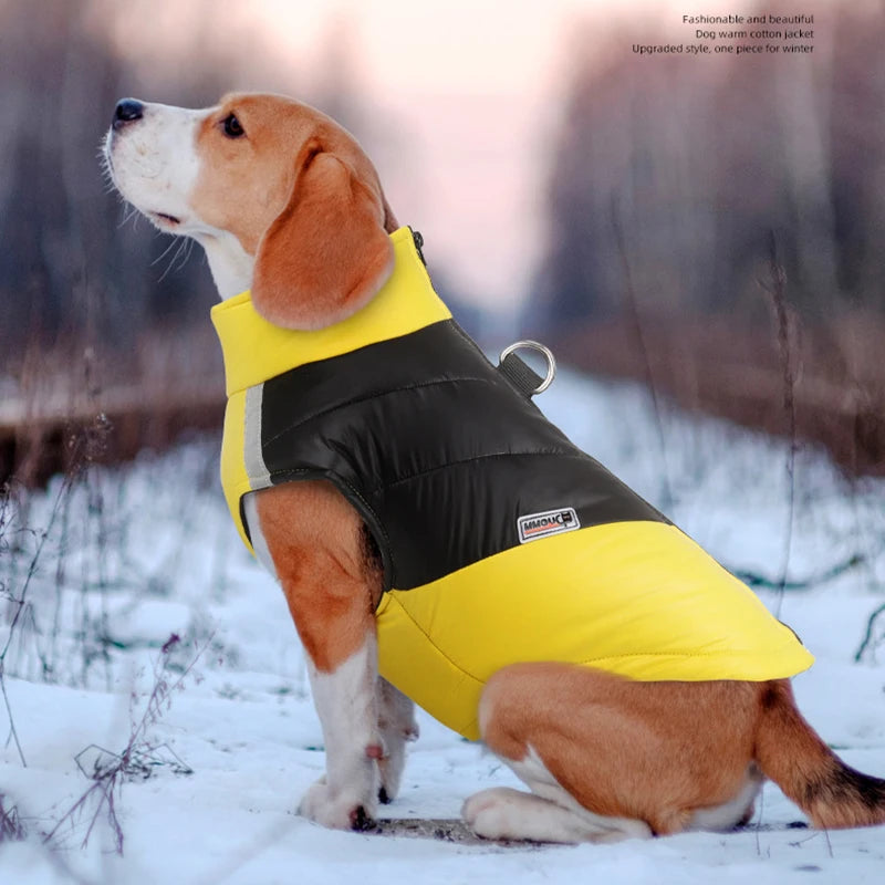 Waterproof Dog Jacket Winter