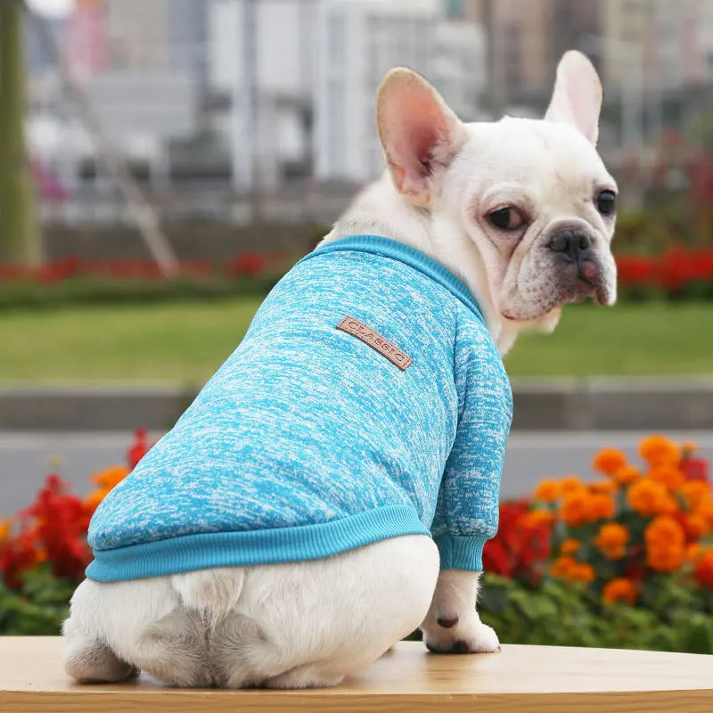 Dog Warm Sweatshirt Spring Autumn Winter