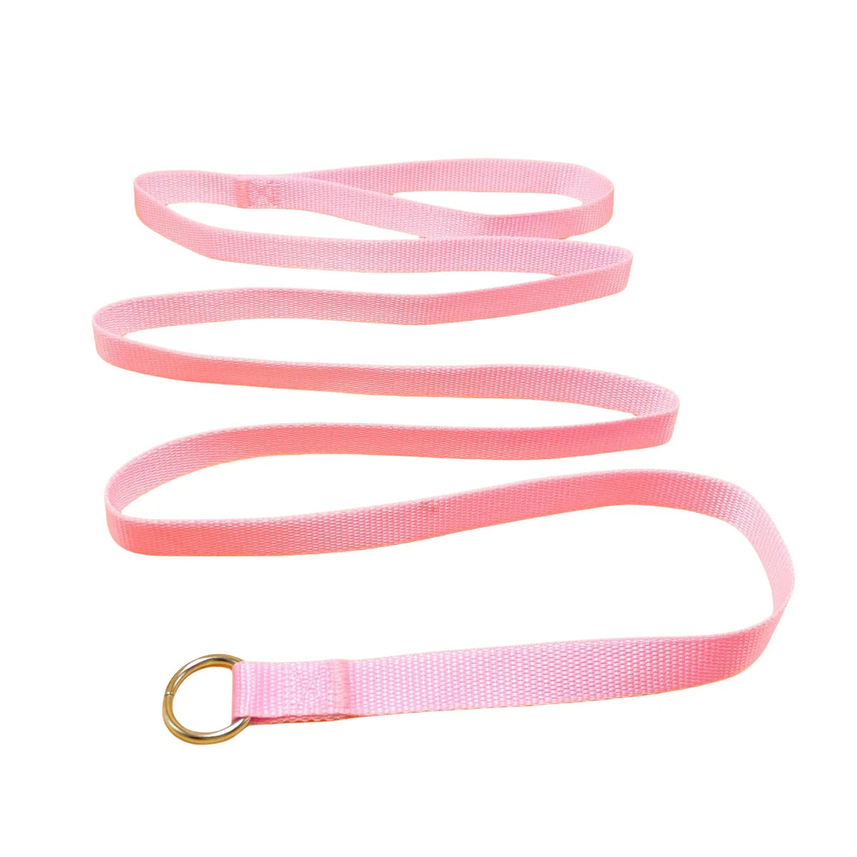 Durable Dog Nylon Slip Rope Leash,