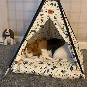 Tent Dog Cat Bed Pet House with Removable Washable Cushion