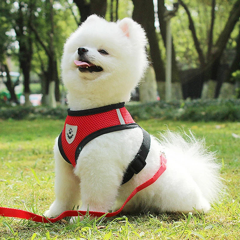 Reflective Breathable Mesh Dog Harness