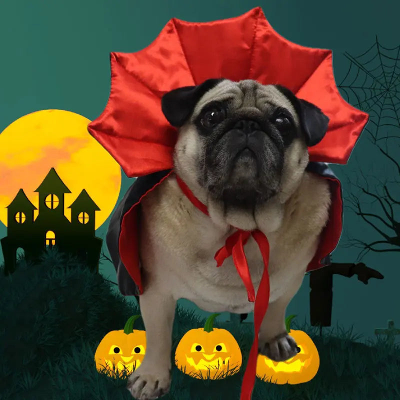 New Funny Pet Dog Halloween Costume