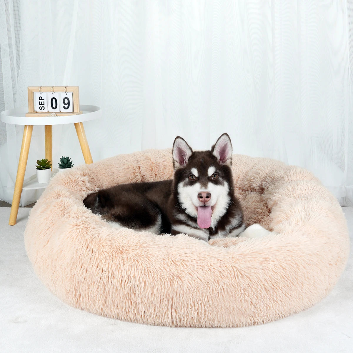 Big Large Round Basket Plush