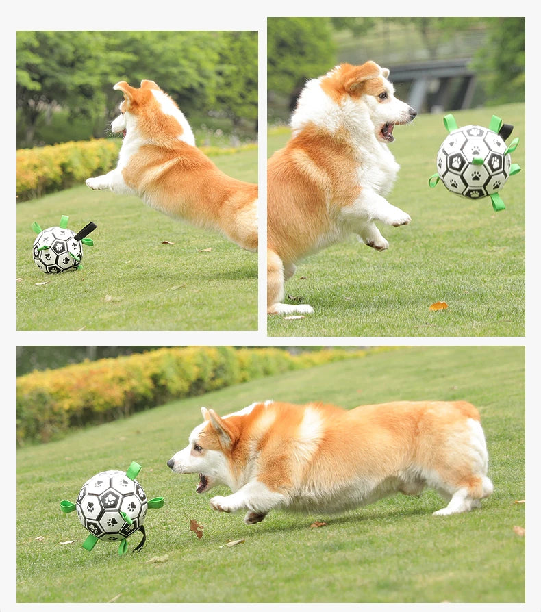 Kimpets Dog Interactive Football Toys