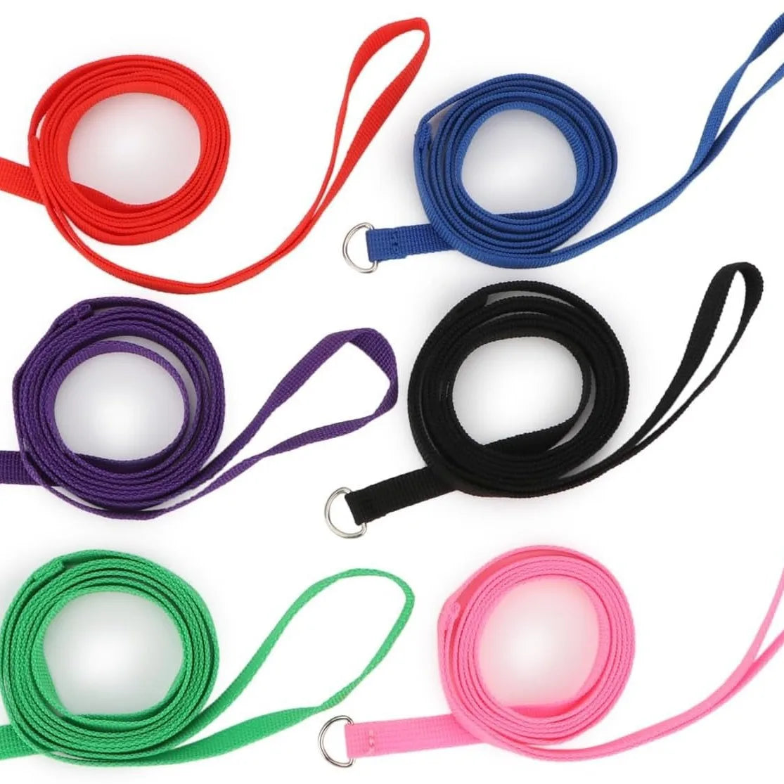 Durable Dog Nylon Slip Rope Leash,