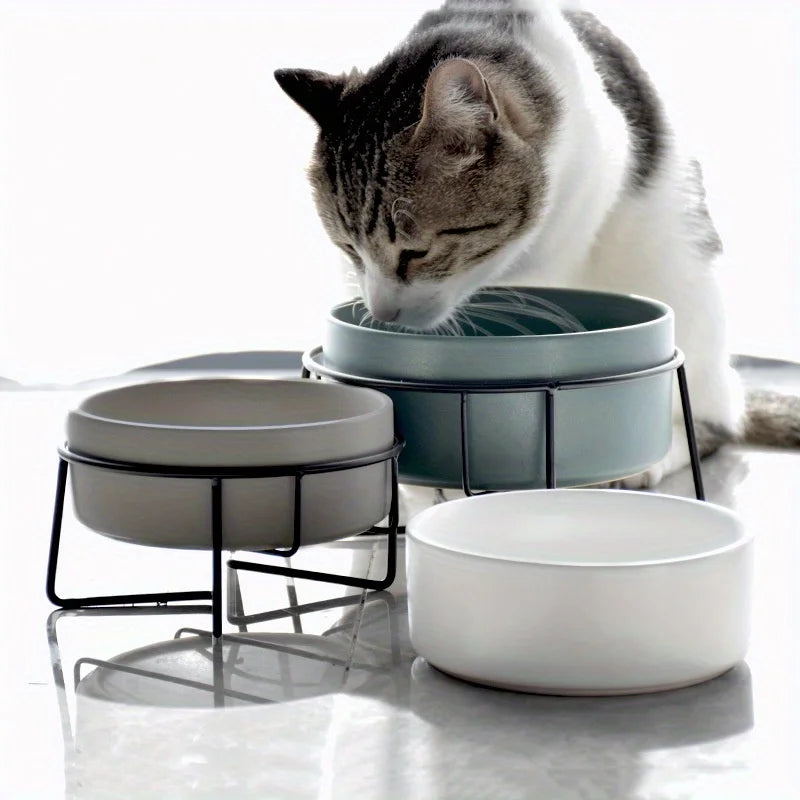 Food Water Bowls with Stand Ceramic Pet Feeding