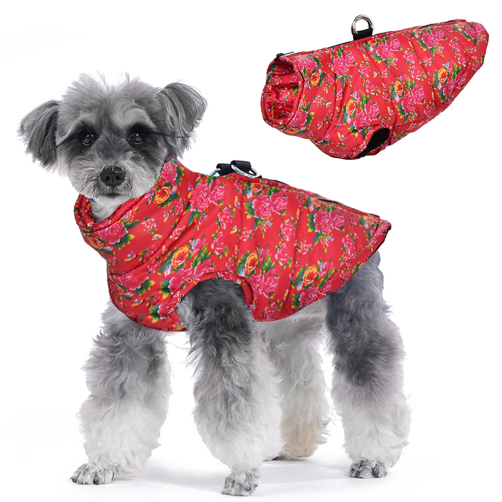 Fashion Dog Jacket for Small Dogs