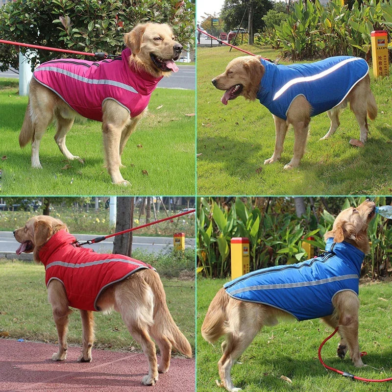 Waterproof Dog Clothes for Dogs