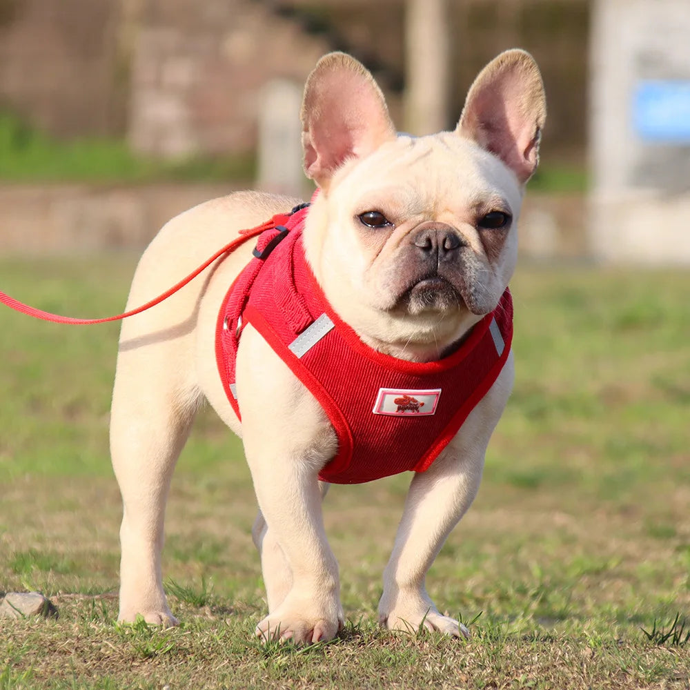 Dog Traction Rope Corduroy Breathable