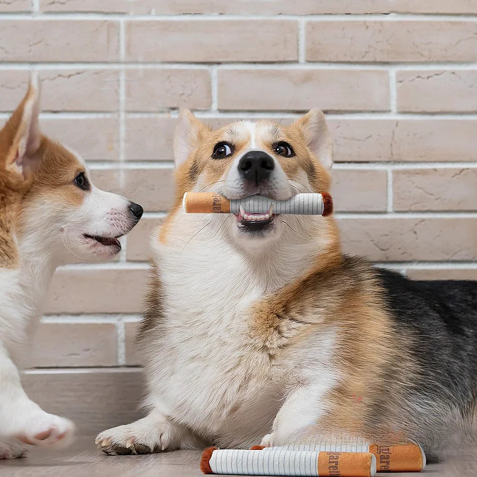 Dog Chewing Toy With Squeaker Cigarette