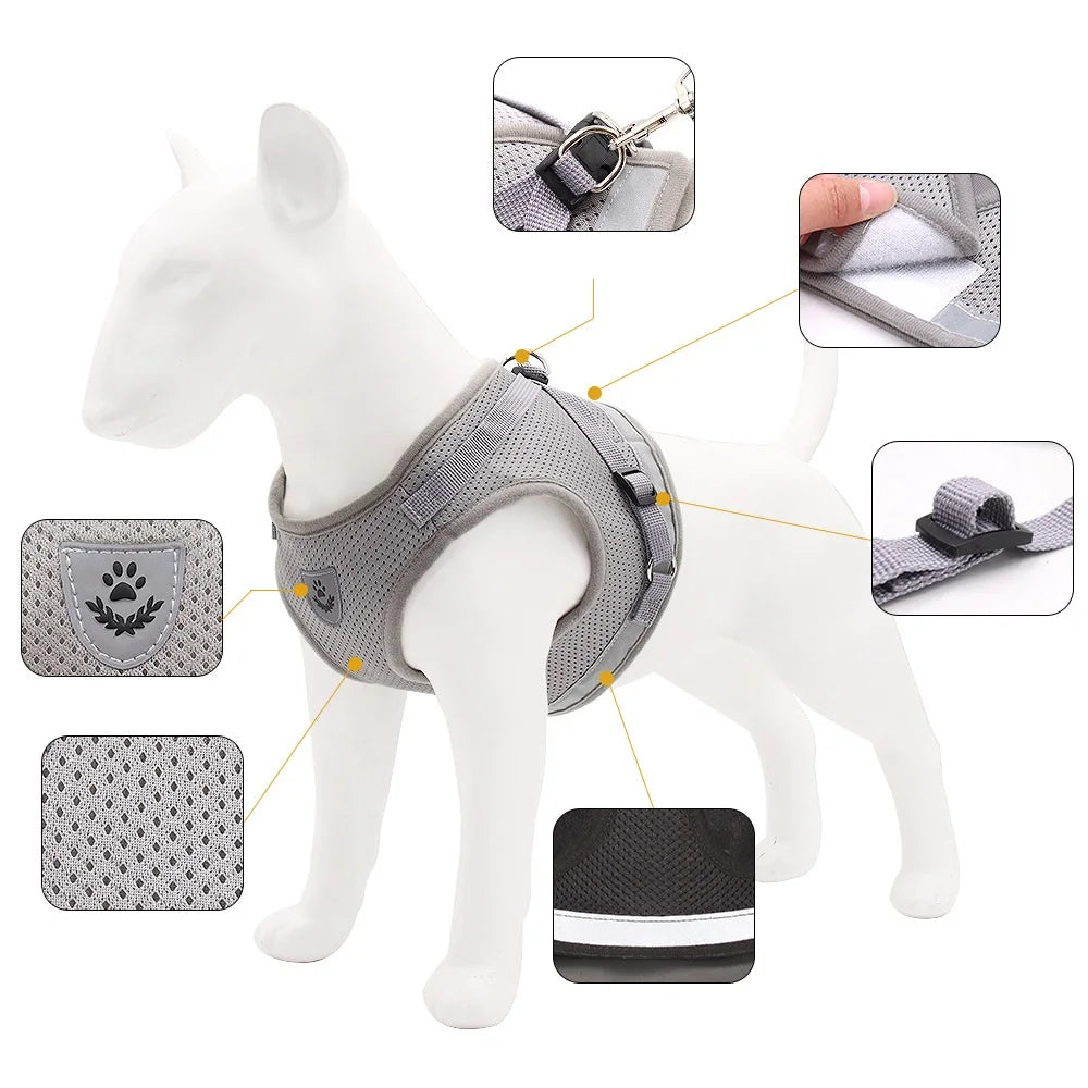 Quality Dog Harness And Leash