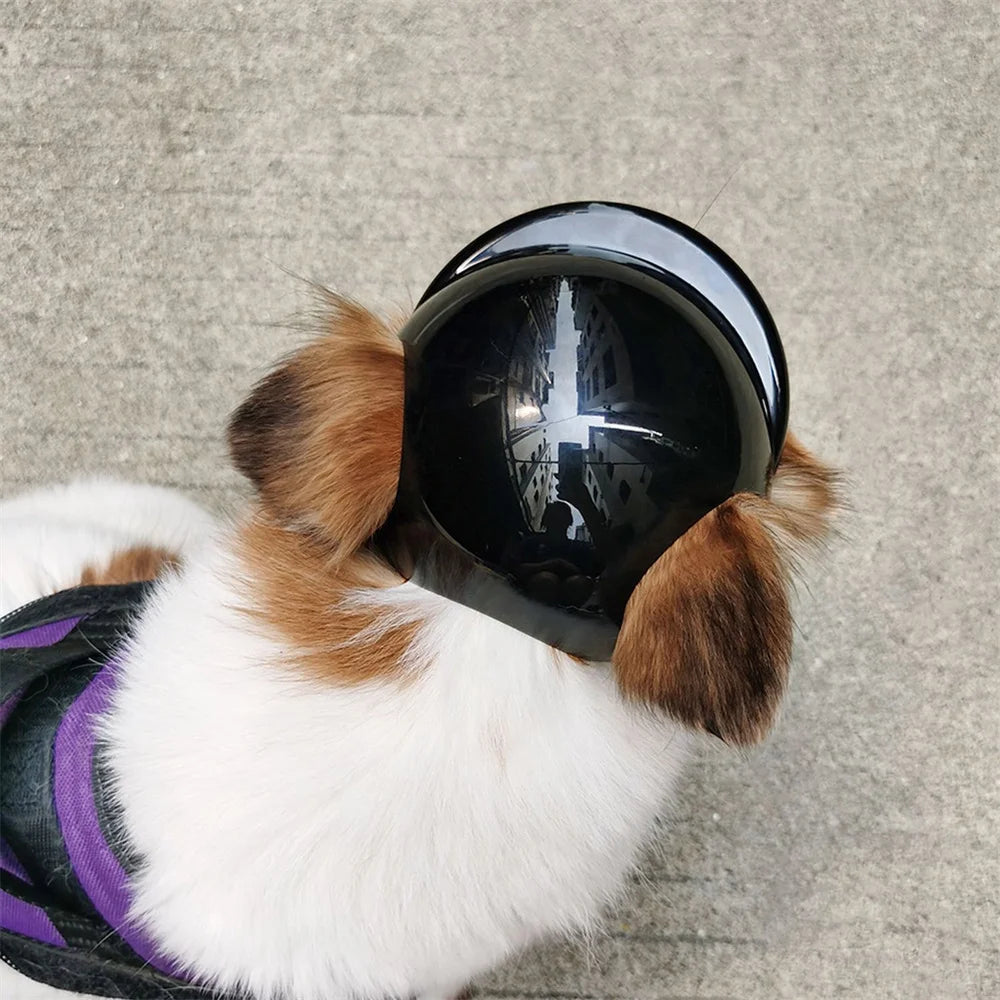 Cool Pet Dog Safety Helmet for Small Medium Dogs