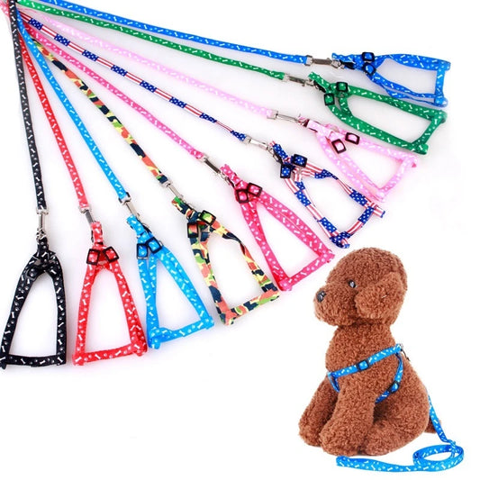 Small Dog Leash Puppy Leashes