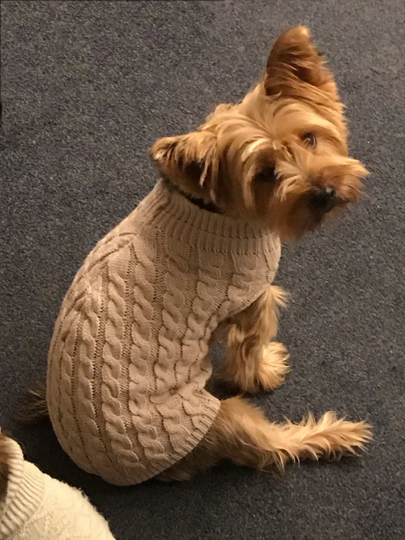 Dog Sweaters for Dogs