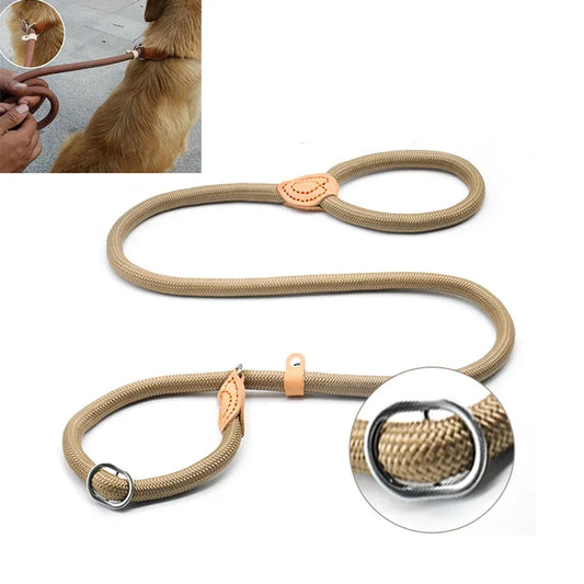 Dog Walking Leash Slip Rope